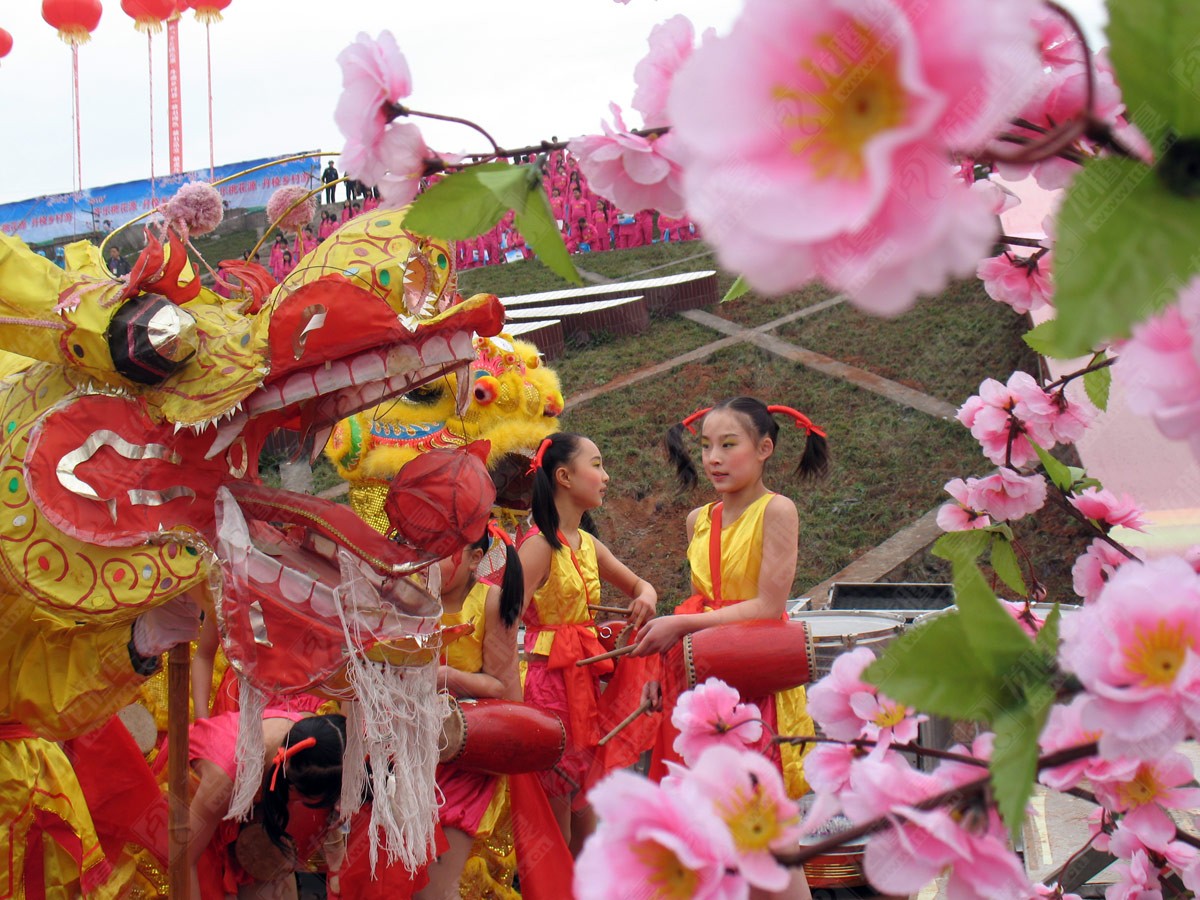 丹棱桃花源鄉(xiāng)村游品牌營(yíng)銷策劃