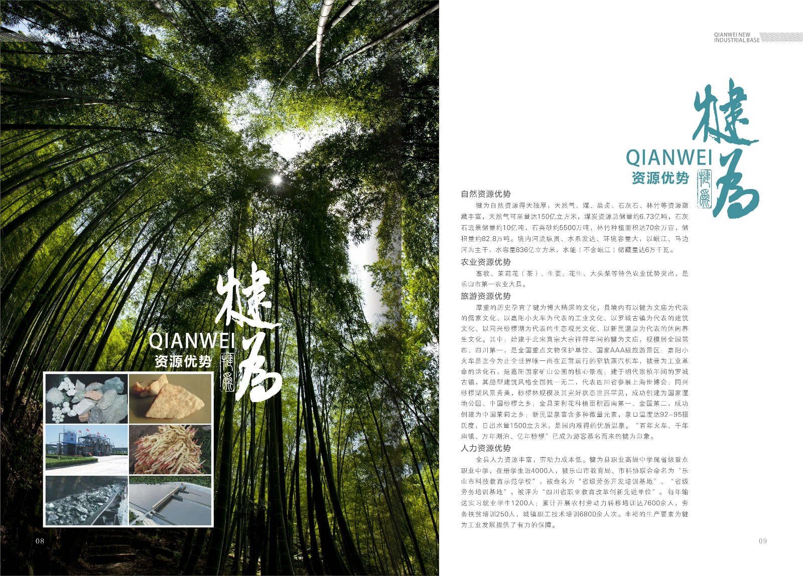 樂山高新區(qū)犍為縣招商手冊設(shè)計(jì)_樂山市畫冊設(shè)計(jì)公司_高新區(qū)招商手冊設(shè)計(jì)公司_工業(yè)基地招商宣傳冊設(shè)計(jì)